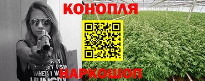 гидропоника Можга