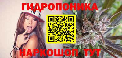 apvp Можайск