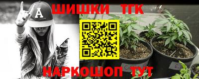 гидропоника Можга