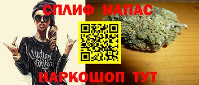 гидропоника Можга