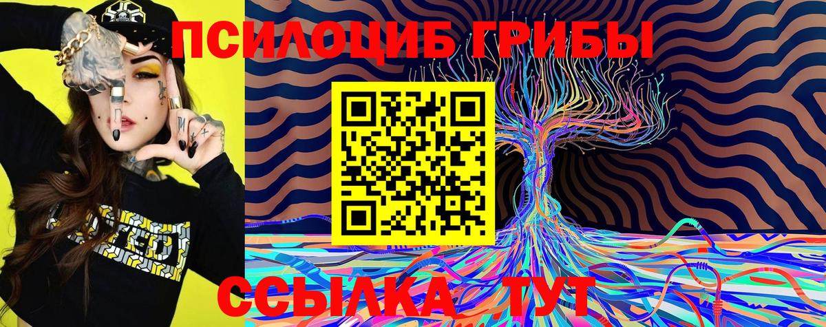 МАРИХУАНА  Славгород  COCAIN  Гашиш  Меф кристаллы  MDMA  Экстази  Вход с VPN  Гашиш 