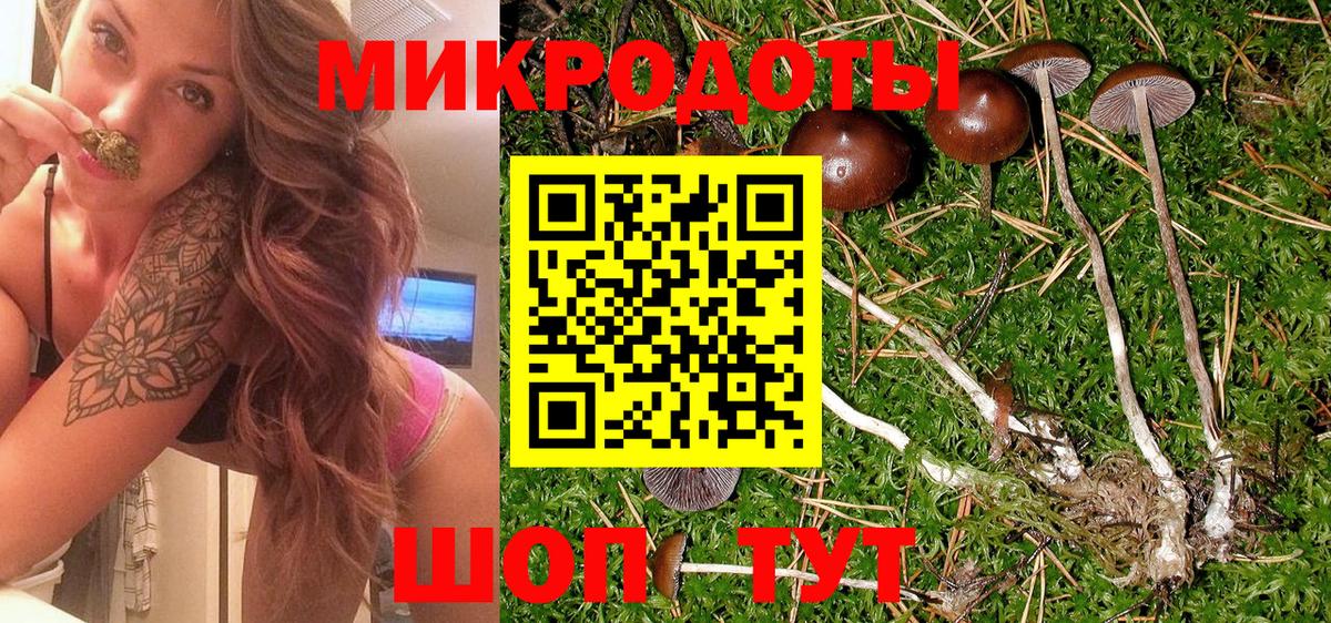Псилоцибиновые грибы GOLDEN TEACHER Славгород